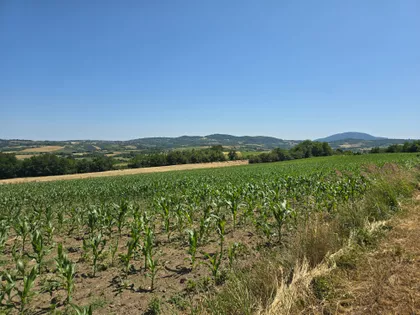 Misača | 4zida.rs