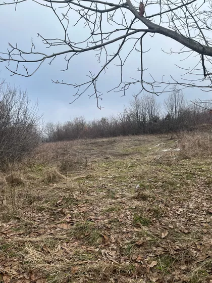 Dragobraća | 4zida.rs