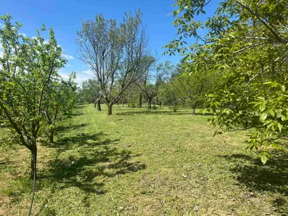 Inđijski Breg | 4zida.rs