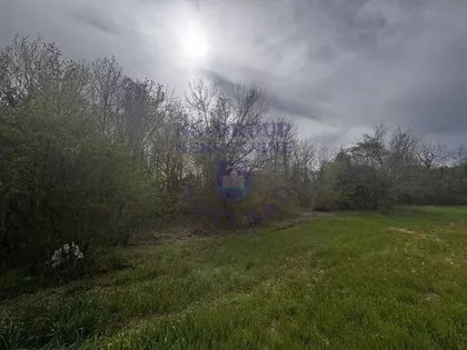 Krušedol Prnjavor | 4zida.rs