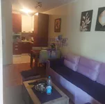 Nova Detelinara, Detelinara, Gradske lokacije, Novi Sad | 4zida.rs | 4zida.rs