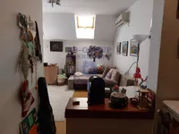 Novi Sad, Gradske lokacije, Adamovićevo Naselje, Cara Dušana | 4zida.rs | 4zida.rs