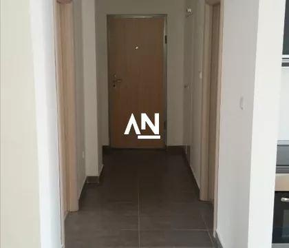 Jelene Ćetković | 4zida.rs