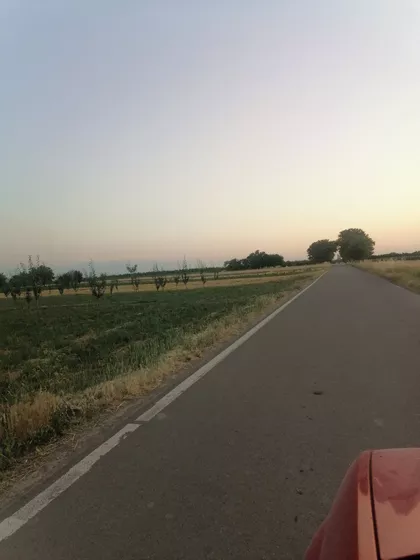 Fenečka | 4zida.rs