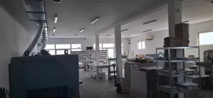 Autoput Za Novi Sad | 4zida.rs