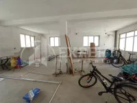 Lokal | 4zida