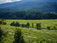 Vodice, Okolne lokacije, Zlatibor | 4zida.rs