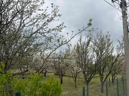 Drača 4 | 4zida.rs