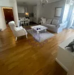 Novi Sad - Centar, Stari Grad, Gradske lokacije, Novi Sad | 4zida.rs | 4zida.rs