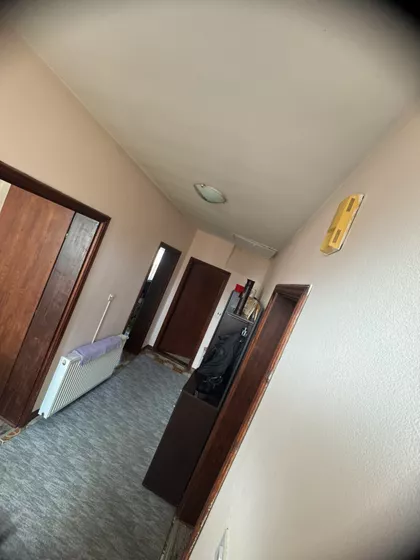 Živorada Divca | 4zida.rs