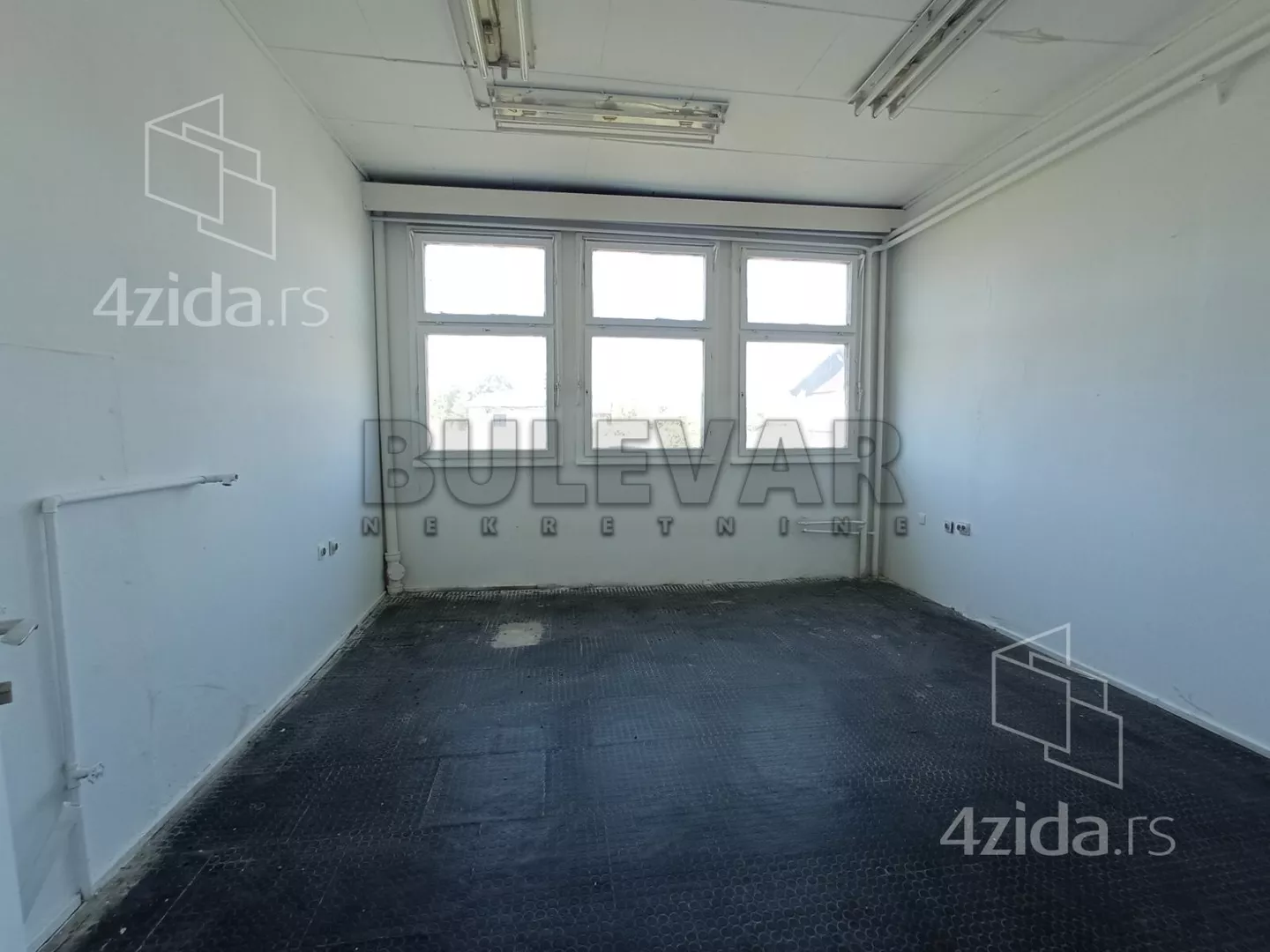 Lokal | 4zida