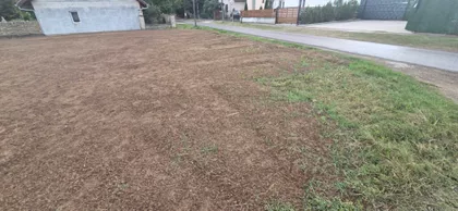 Palić | 4zida.rs