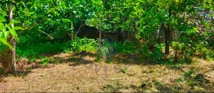 Kralja Petra I | 4zida.rs