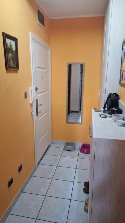Bulevar Patrijarha Pavla | 4zida.rs