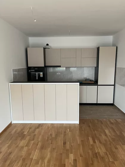 Jerneja Kopitara | 4zida.rs