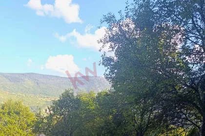 Planina Tara | 4zida.rs
