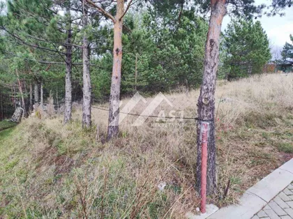 Crvenog gloga | 4zida.rs