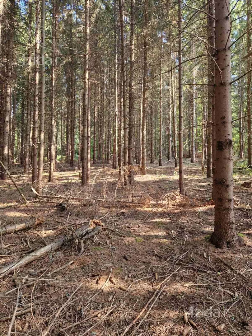 Poljoprivredno zemljište | 4zida