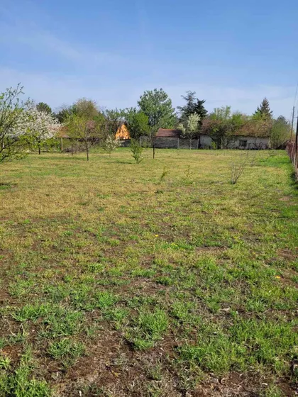 Darinke Radović 3 | 4zida.rs