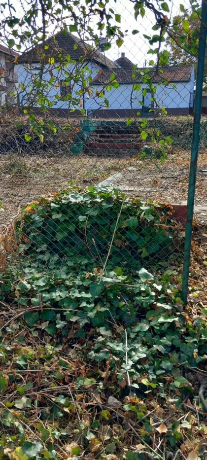 Štrosmajerova 38 | 4zida.rs