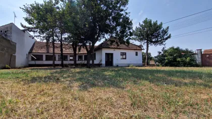 Srbobranska 50 | 4zida.rs