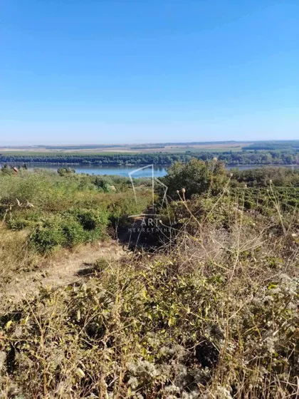Počenta | 4zida.rs