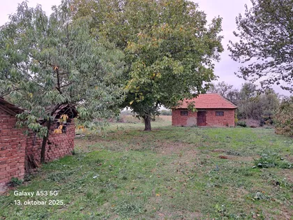 Živka Pavlovića | 4zida.rs