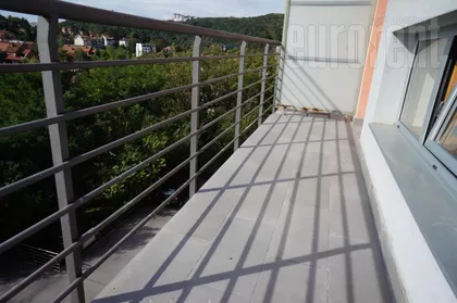 DEDINJE BELI DVOR | 4zida.rs