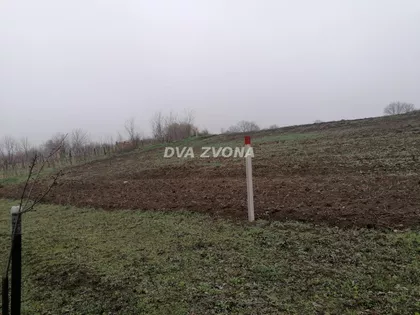 Novi Slankamen | 4zida.rs