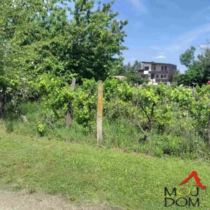 Petrovaradin | 4zida.rs