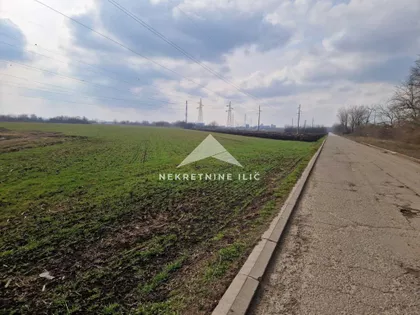 Zeleno Polje | 4zida.rs
