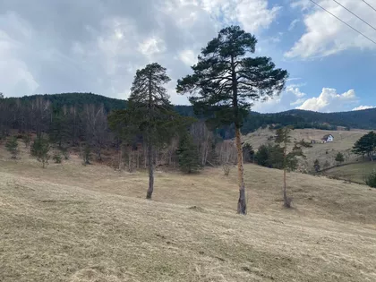 Lazara Kuzelja | 4zida.rs