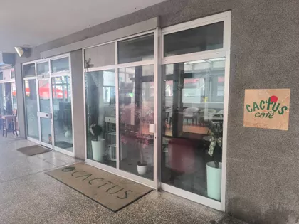 Bulevar Mihajla Pupina 10D | 4zida.rs