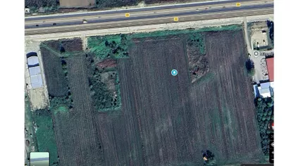 Beogradski Put | 4zida.rs