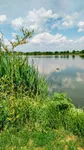 Turija, Okolne lokacije, Srbobran | 4zida.rs | 4zida.rs