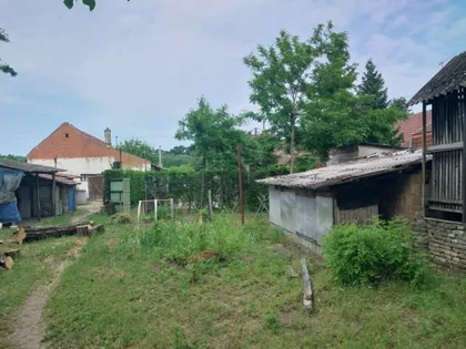 Kelebija | 4zida.rs