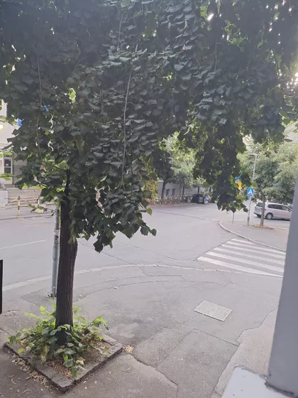 Palata Pravde | 4zida.rs