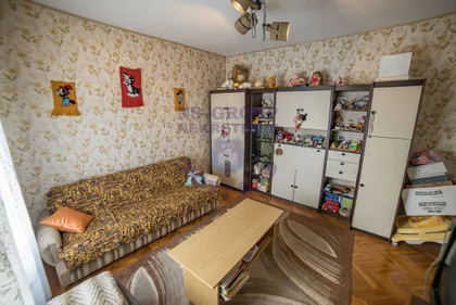 Svetozara Miletića | 4zida.rs