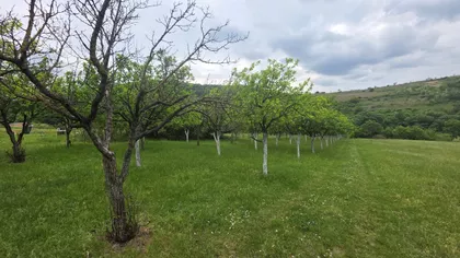 Rakovac | 4zida.rs