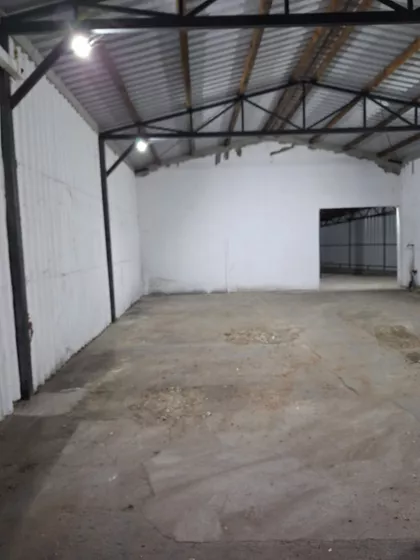 Mihajla Pupina | 4zida.rs