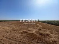 Krnješevci, Okolne lokacije, Stara Pazova | 4zida.rs