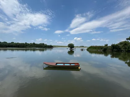 Krčedin | 4zida.rs