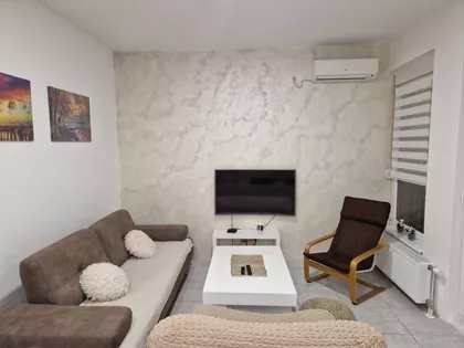 Salajka | 4zida.rs
