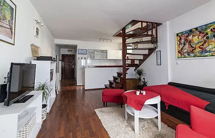 Kraljice Natalije | 4zida.rs