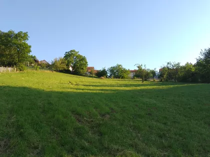 Orašački Put 152 | 4zida.rs