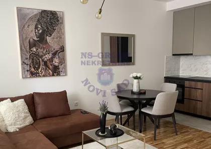 Salajka | 4zida.rs