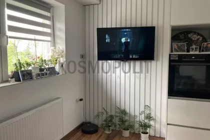 Zmaj Jove Jovanovića | 4zida.rs