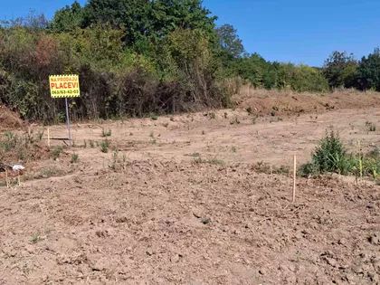 Branislava Damnjanovića Cireta | 4zida.rs