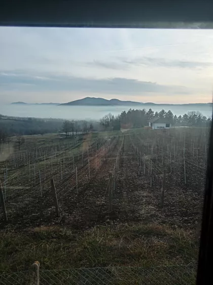 Orašački Put 128 | 4zida.rs