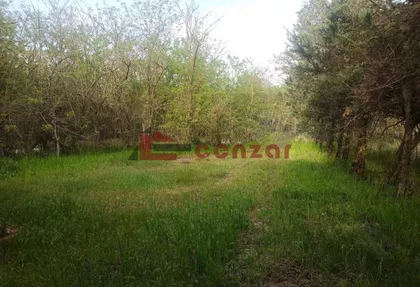 Kelebija | 4zida.rs
